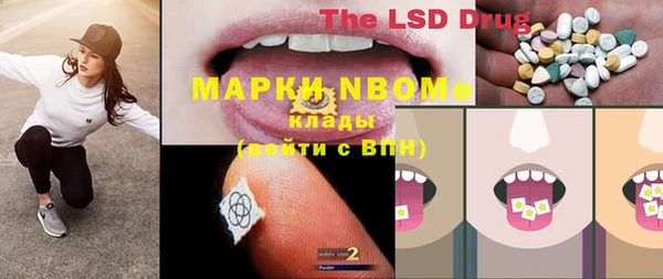 PSILOCYBIN Бронницы