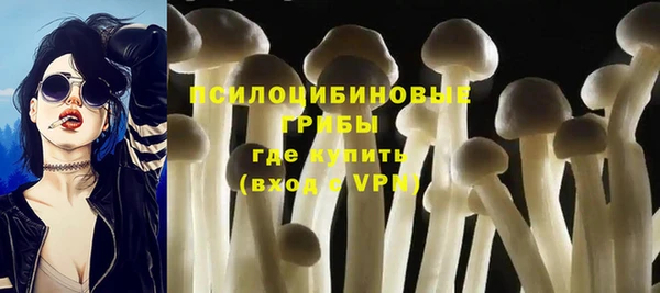 PSILOCYBIN Бронницы