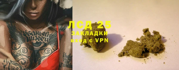 ГАЛЛЮЦИНОГЕННЫЕ ГРИБЫ Бугульма