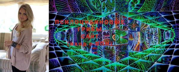 ГАЛЛЮЦИНОГЕННЫЕ ГРИБЫ Бугульма