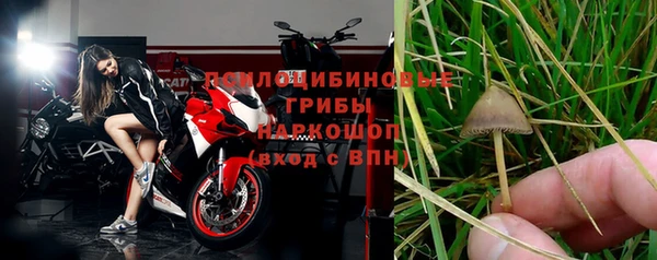 ГАЛЛЮЦИНОГЕННЫЕ ГРИБЫ Бугульма